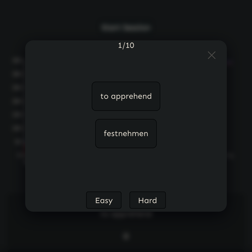 Snippets flashcard session
