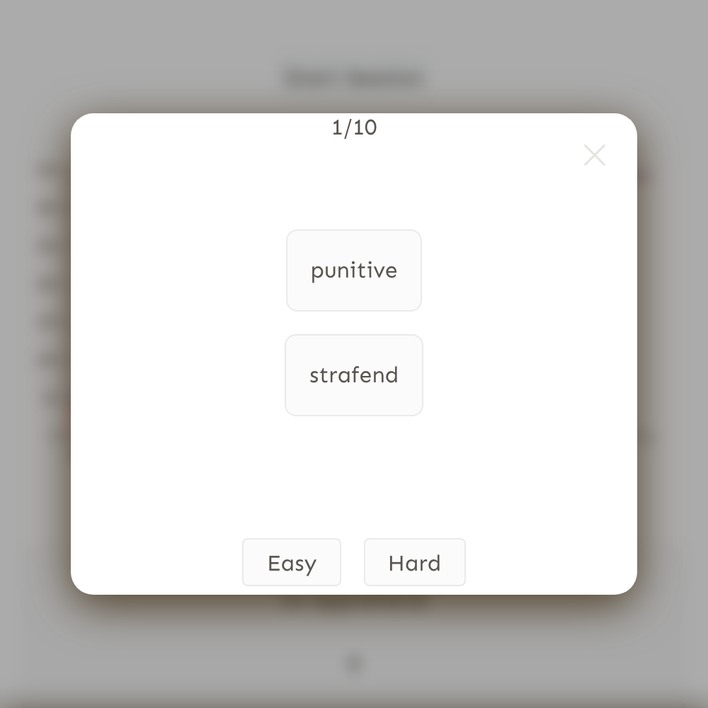 Snippets flashcard session