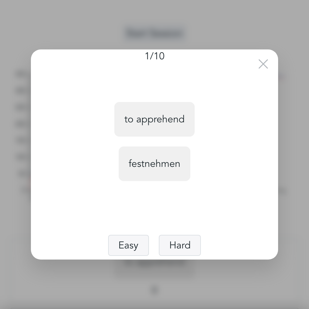 Snippets flashcard session