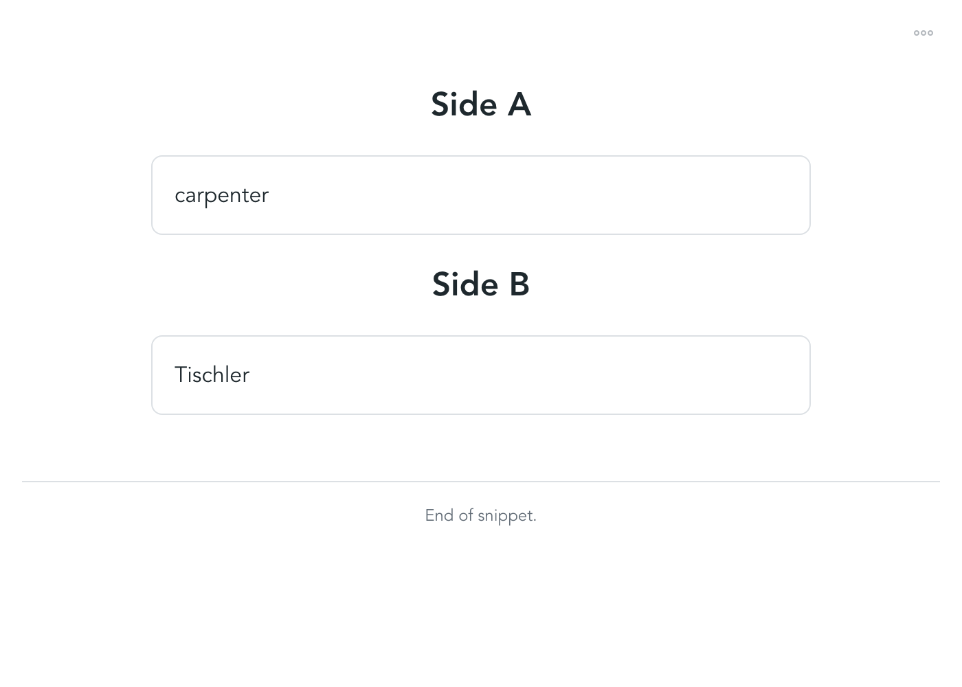 Snippets flashcard snippet